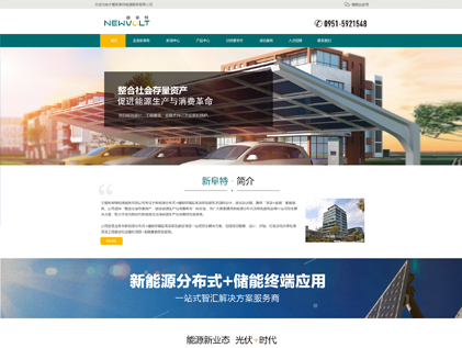 新阜特网站建设案例